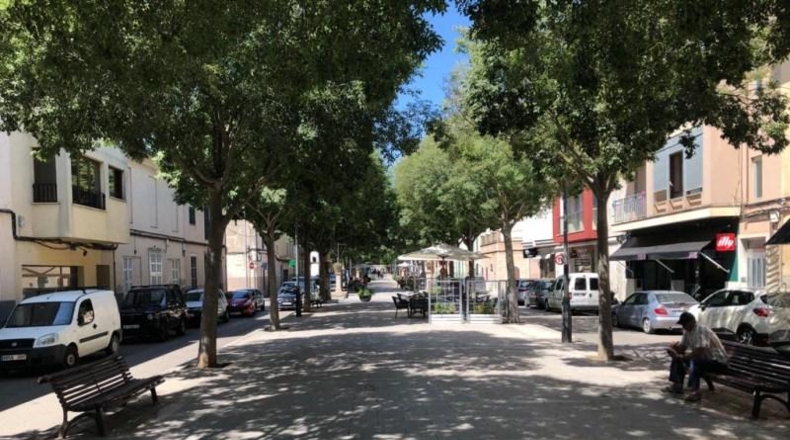 Balearic Islands - Manacor - 22169m2