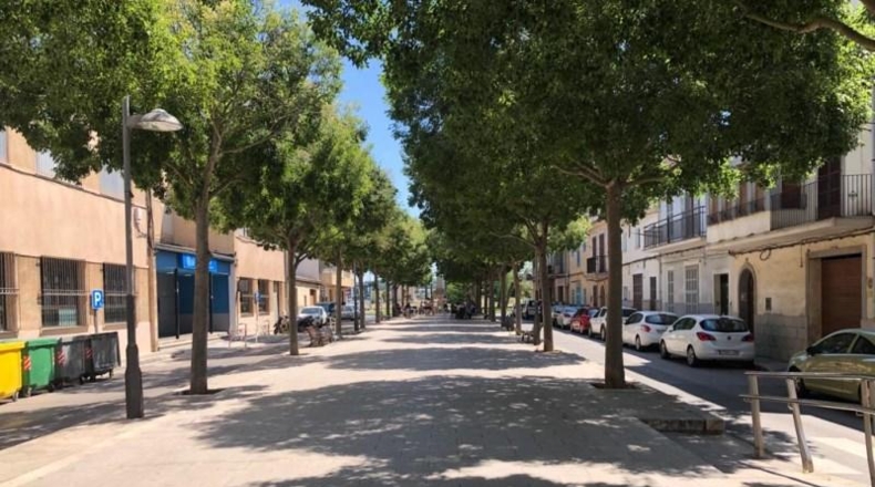 Balearic Islands - Manacor - 22169m2