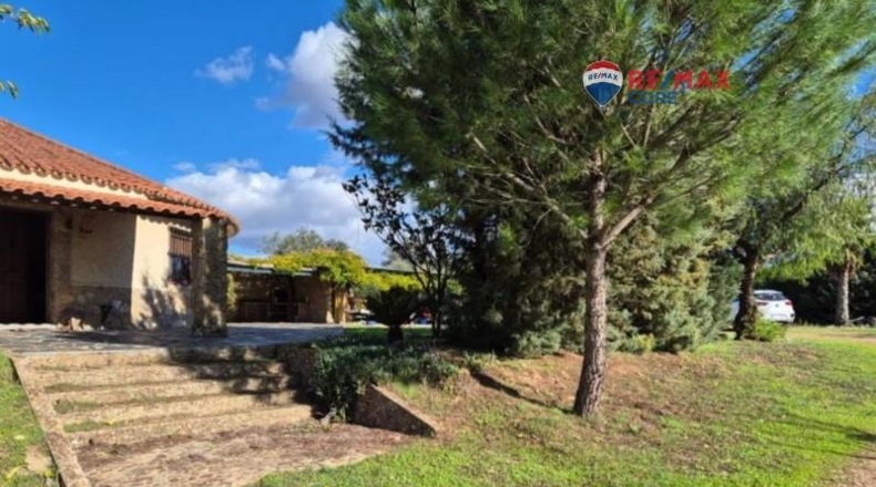Badajoz - Badajoz - 5000m2