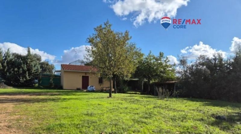 Badajoz - Badajoz - 5000m2