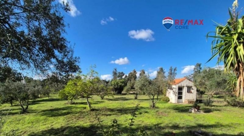Badajoz - Badajoz - 5000m2