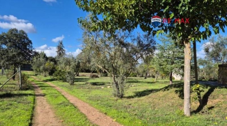 Badajoz - Badajoz - 5000m2