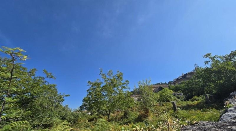 Pontevedra - Pontevedra - 1590m2