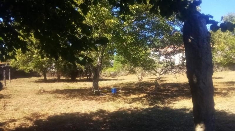 Pontevedra - Pontevedra - 1590m2