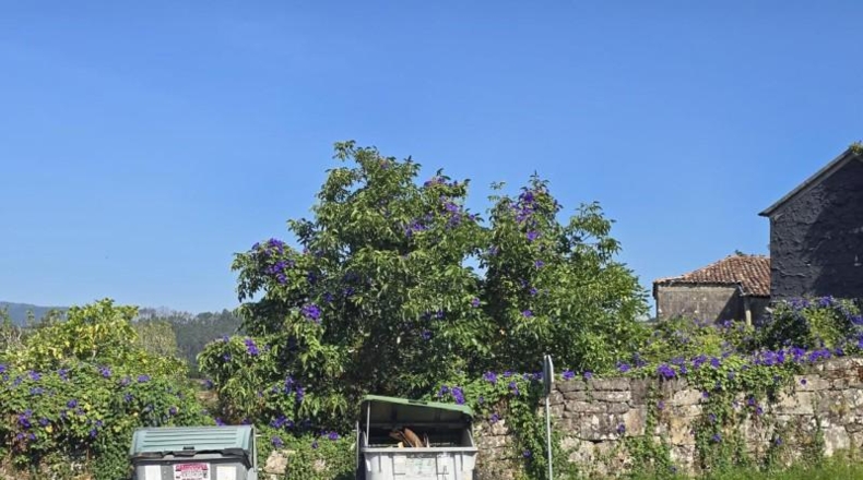 Pontevedra - Pontevedra - 1590m2