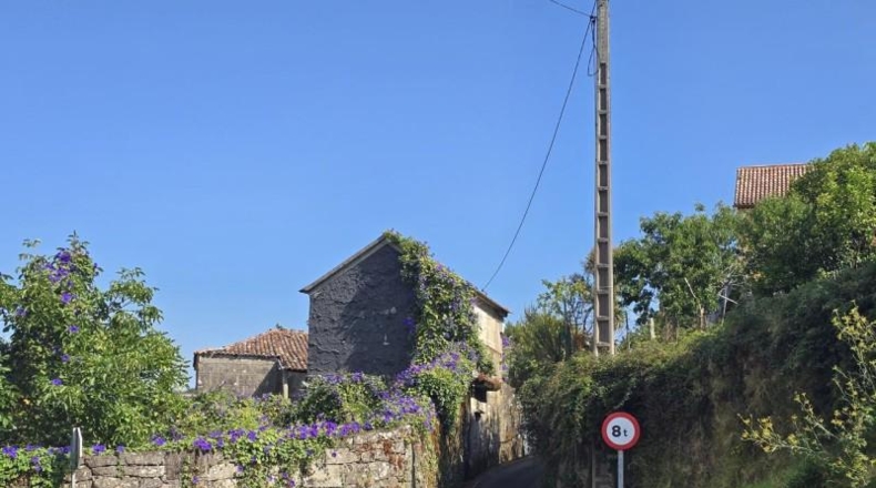 Pontevedra - Pontevedra - 1590m2