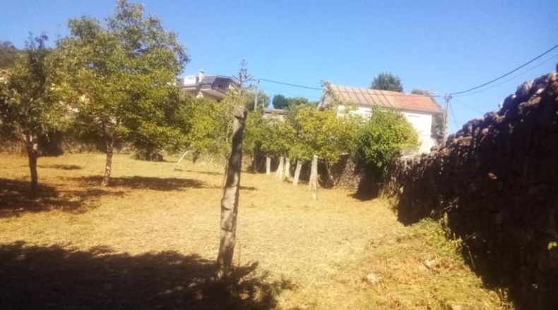 Pontevedra - Pontevedra - 1590m2
