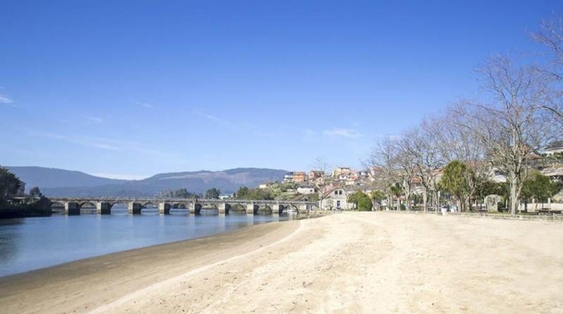 Pontevedra - Pontevedra - 1590m2