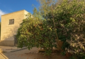 Casa de camp amb terreny en venda a la España, Serón, ref.: TR355307 foto