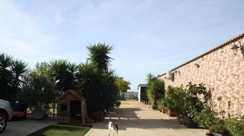Sevilla - Carrión de los Céspedes - 6000m2