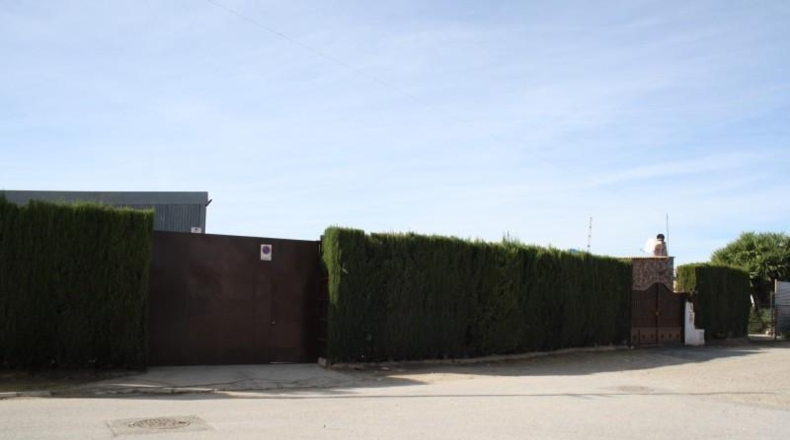 Sevilla - Carrión de los Céspedes - 6000m2