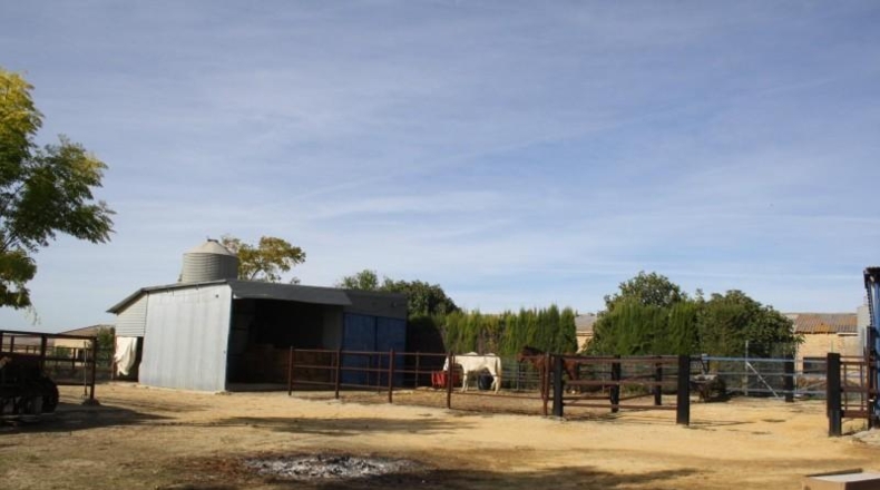 Sevilla - Carrión de los Céspedes - 6000m2