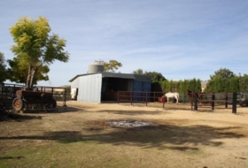 Carrión de los Céspedes 6000&nbsp;m² 