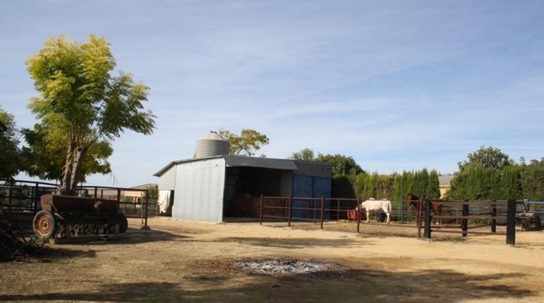 Sevilla - Carrión de los Céspedes - 6000m2