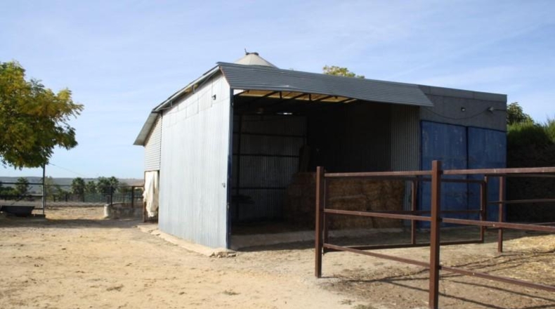 Sevilla - Carrión de los Céspedes - 6000m2
