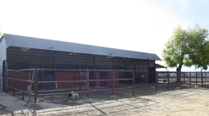 Sevilla - Carrión de los Céspedes - 6000m2