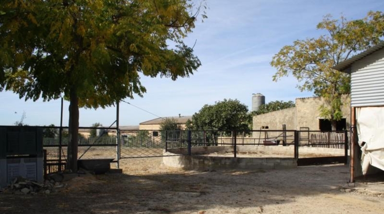 Sevilla - Carrión de los Céspedes - 6000m2