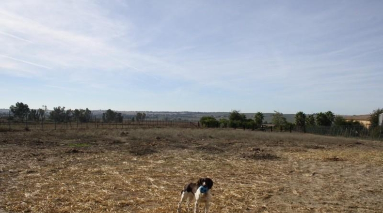 Sevilla - Carrión de los Céspedes - 6000m2