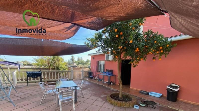 Córdoba - Córdoba - 2000m2