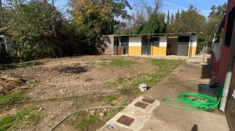 Córdoba - Córdoba - 2000m2