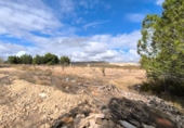 Casa de camp amb terreny en venda a la España, Iecla, ref.: TR335613 foto