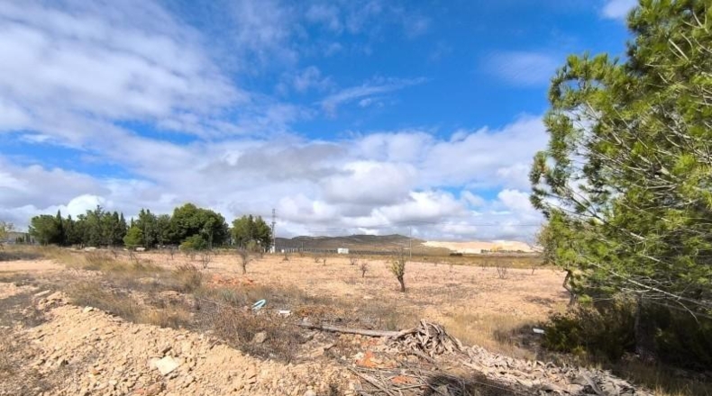Múrcia - Йекла - 18000m2