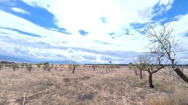 Múrcia - Йекла - 18000m2