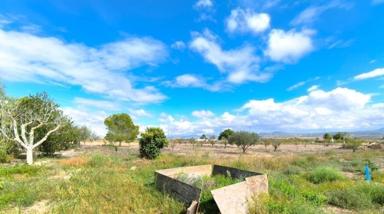 Múrcia - Йекла - 18000m2