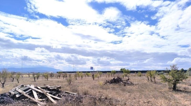 Múrcia - Йекла - 18000m2