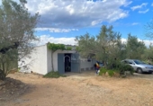 Casa de camp amb terreny en venda a la España, el Perelló, ref.: TR161427 foto