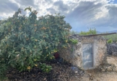 Casa de camp amb terreny en venda a la España, el Perelló, ref.: TR161427 foto