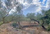 Casa de camp amb terreny en venda a la España, el Perelló, ref.: TR161427 foto