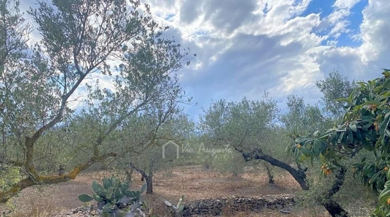 Tarragona - el Perelló - 10974m2