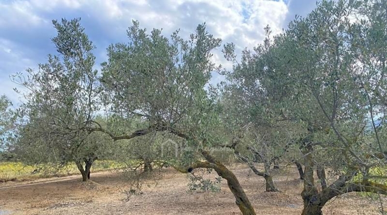 Tarragona - el Perelló - 10974m2