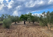 Casa de camp amb terreny en venda a la España, el Perelló, ref.: TR161427 foto