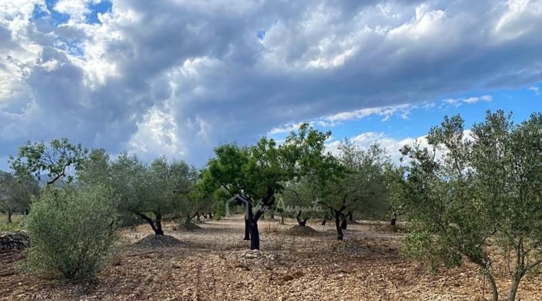 Tarragona - el Perelló - 10974m2