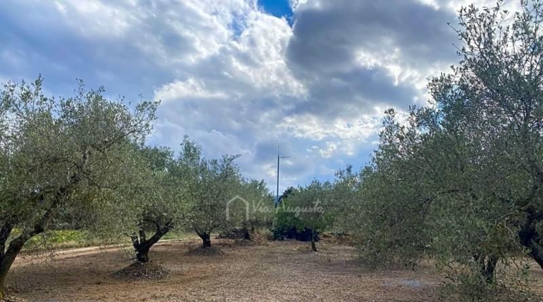 Tarragona - el Perelló - 10974m2