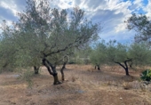 Casa de camp amb terreny en venda a la España, el Perelló, ref.: TR161427 foto