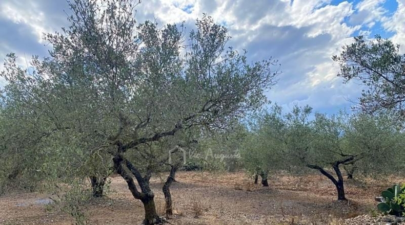 Tarragona - el Perelló - 10974m2