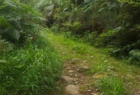 Río 49000&nbsp;m²