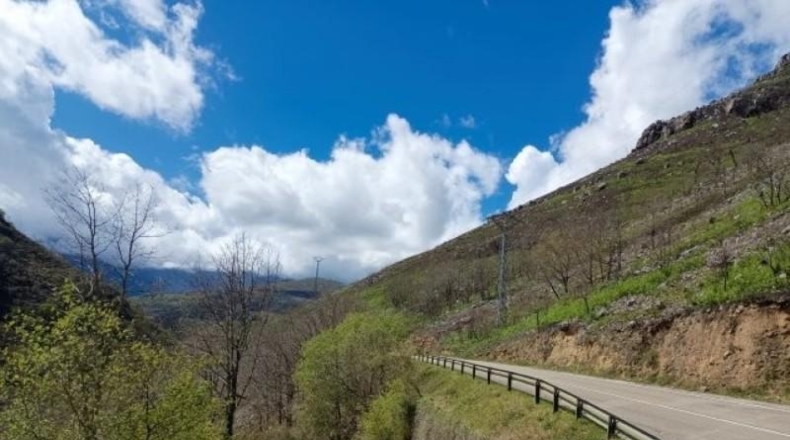 Cantàbria - Cosío - 49000m2