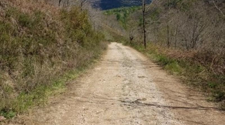 Cantàbria - Cosío - 49000m2