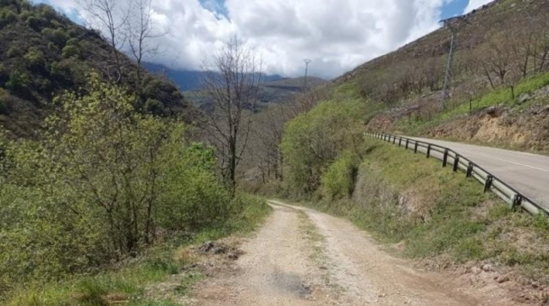 Cantàbria - Cosío - 49000m2