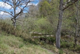 Río 49000&nbsp;m²