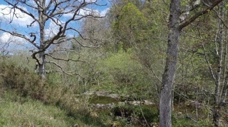 Cantàbria - Cosío - 49000m2