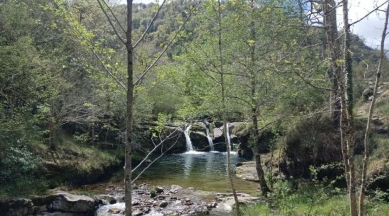 Cantàbria - Cosío - 49000m2
