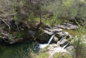 Río 49000&nbsp;m²