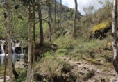 Terreno no urbanizable en venta en la España, Río, ref: TR127497 foto