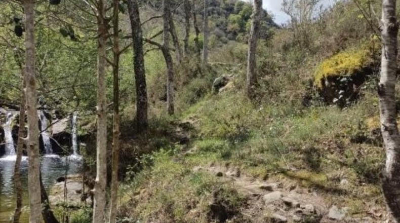 Cantàbria - Cosío - 49000m2