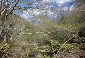 Río 49000&nbsp;m²